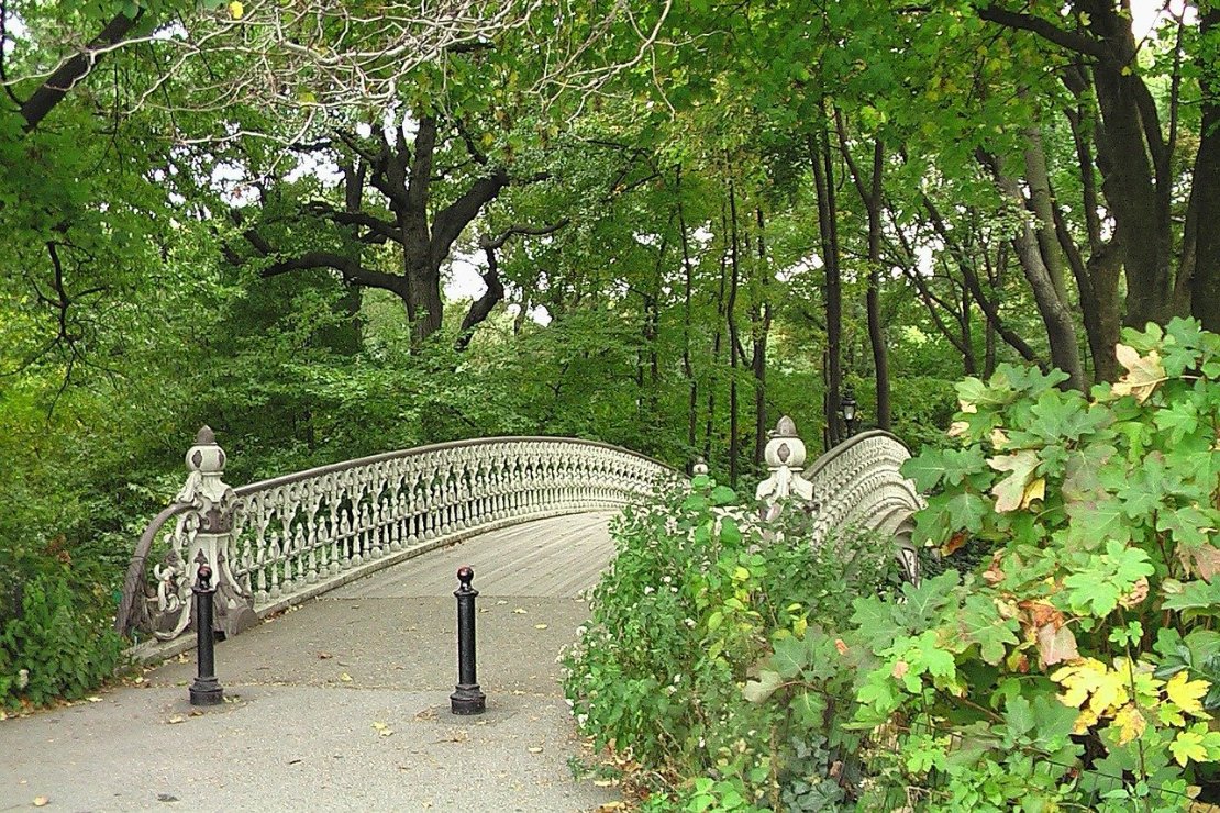 Central Park b