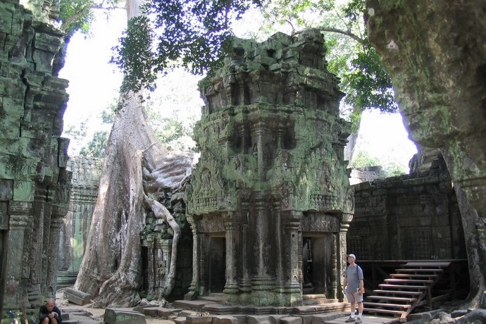 Angkor reuzenboom Cambodja